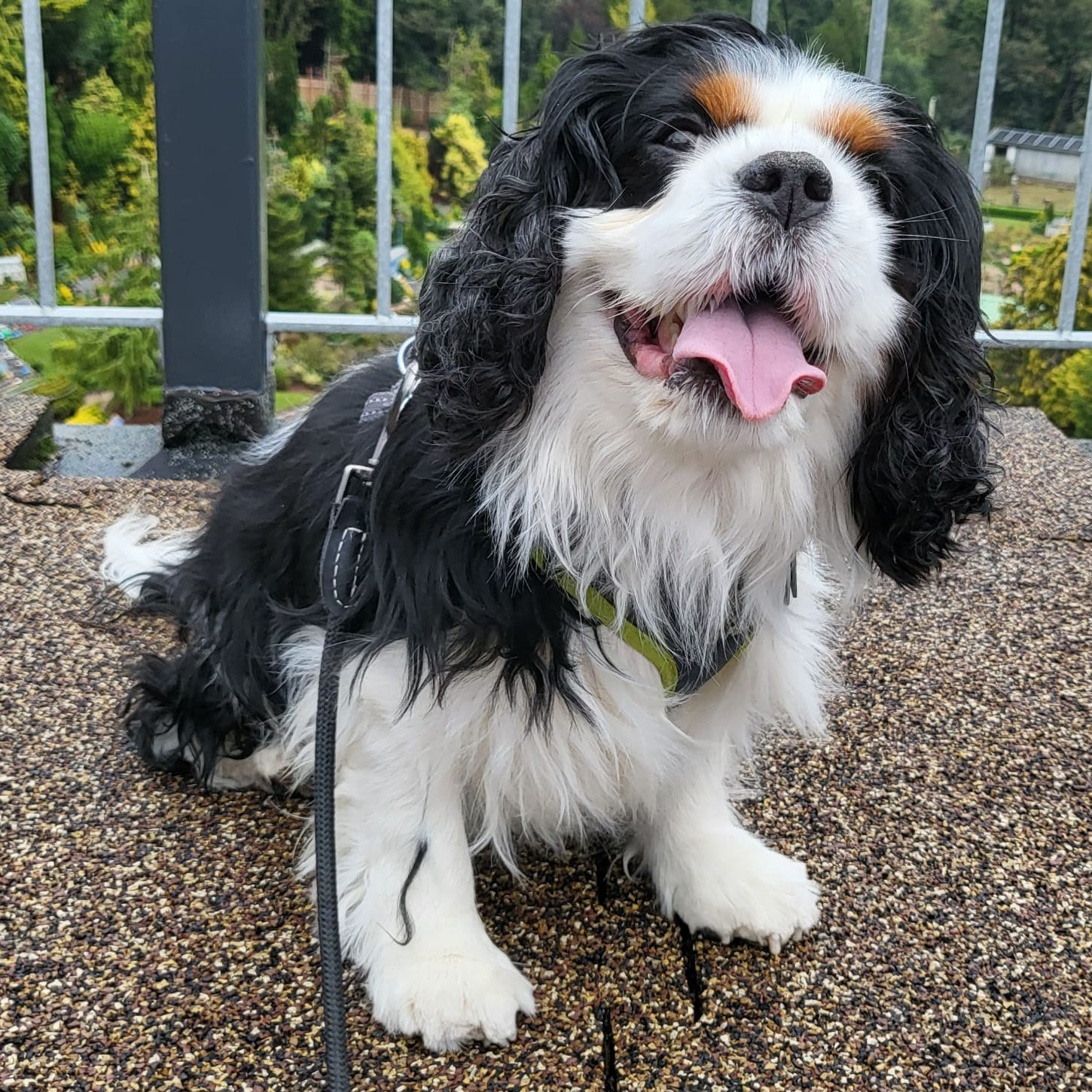 2024_2025 - Murphy - 17